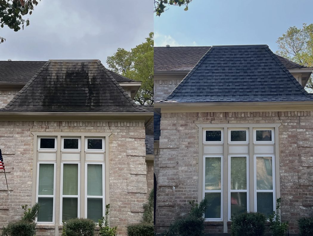 Roof Cleaning